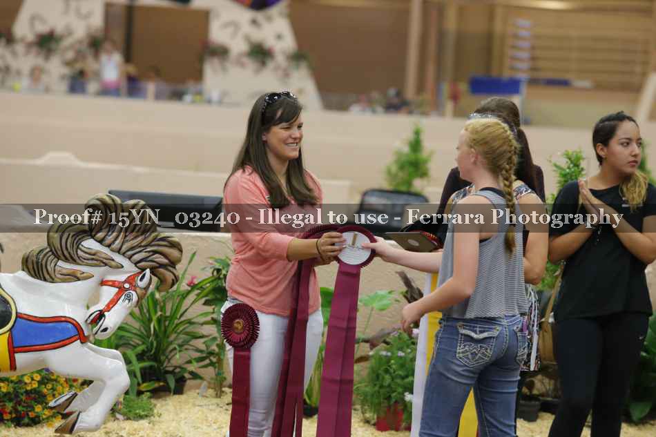 Proof 15YN_03240