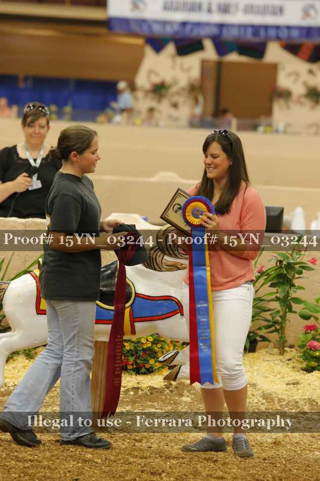 Proof 15YN_03244