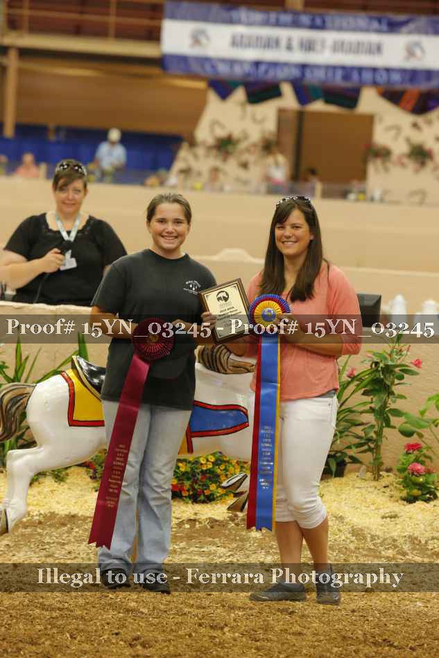Proof 15YN_03245
