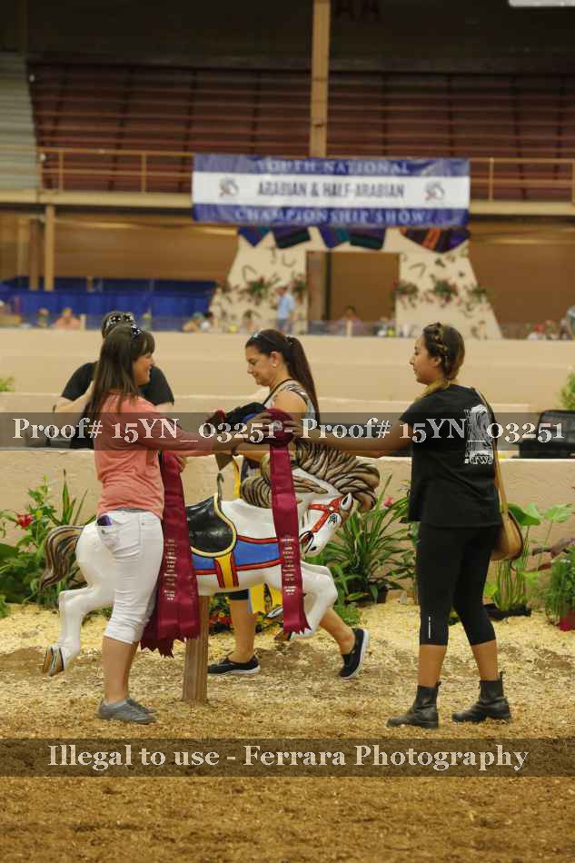 Proof 15YN_03251