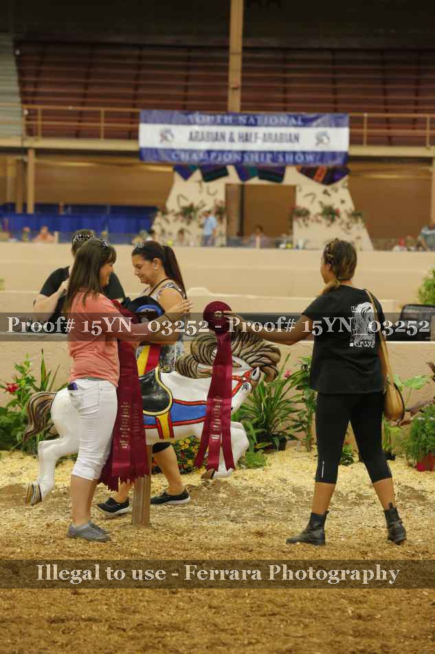 Proof 15YN_03252