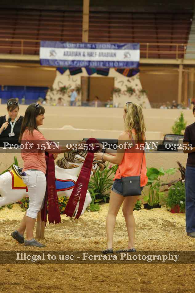 Proof 15YN_03253