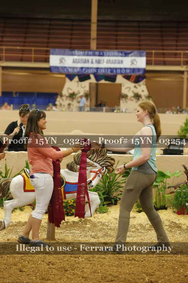 Proof 15YN_03254