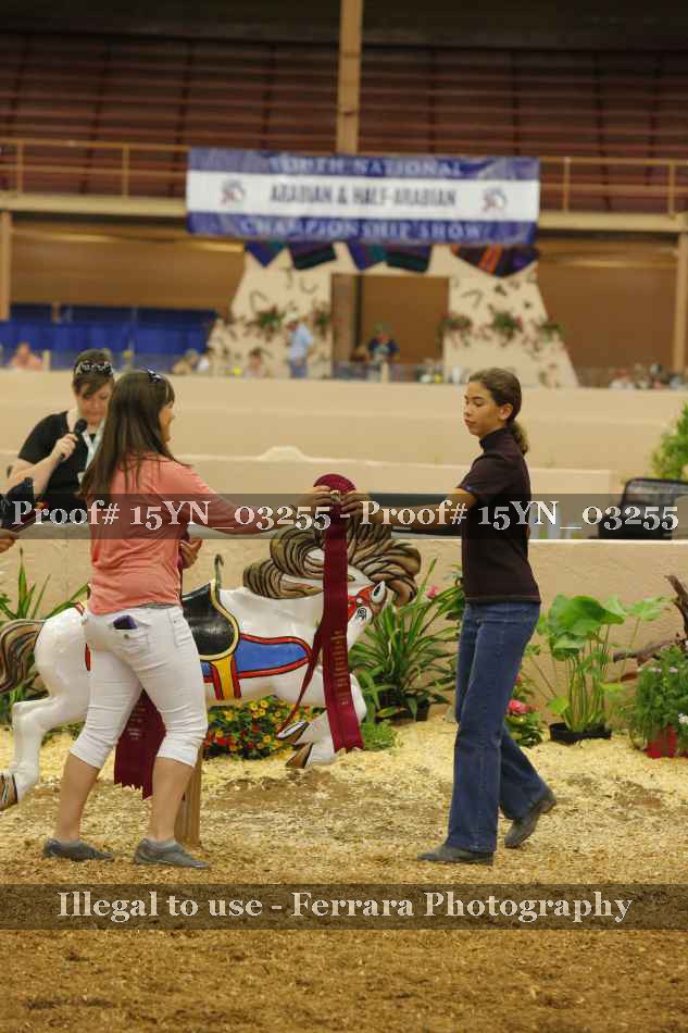 Proof 15YN_03255