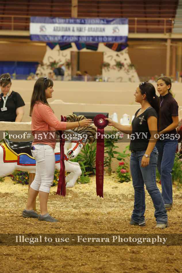 Proof 15YN_03259