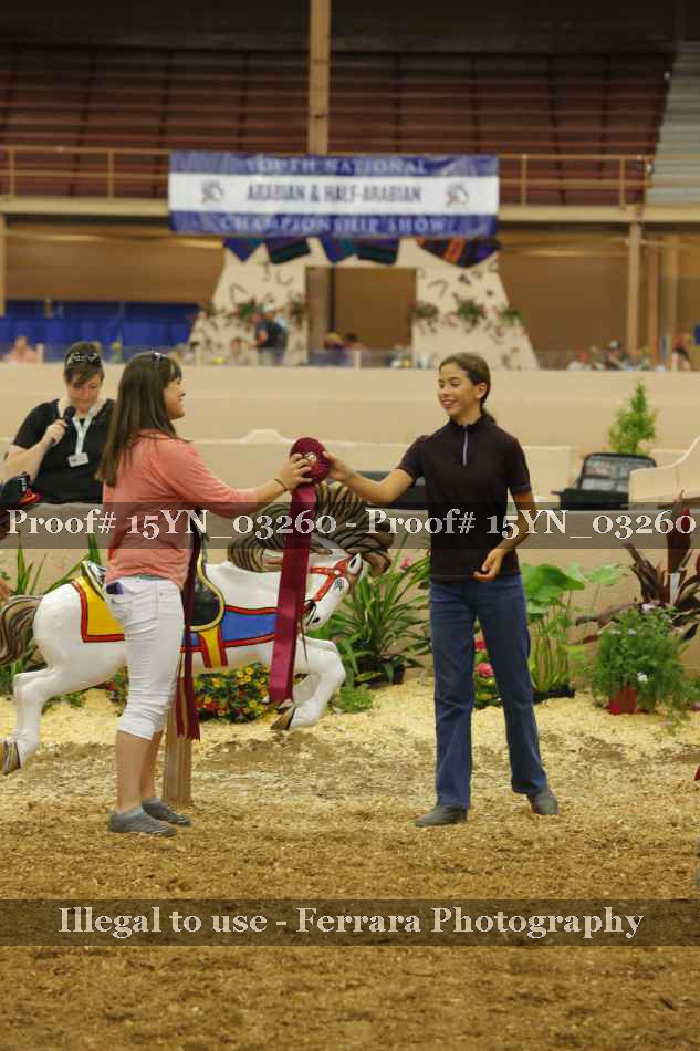 Proof 15YN_03260