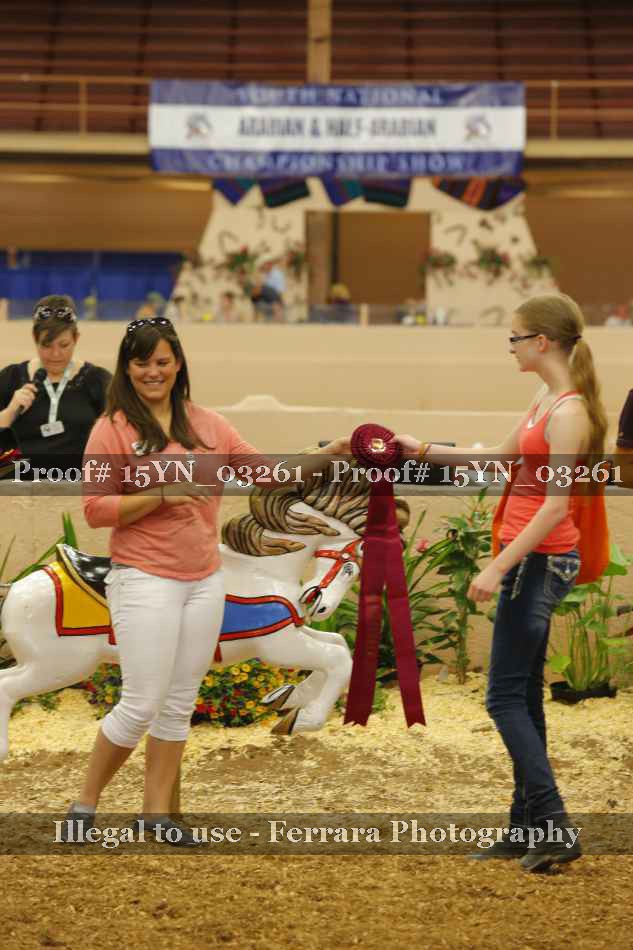 Proof 15YN_03261