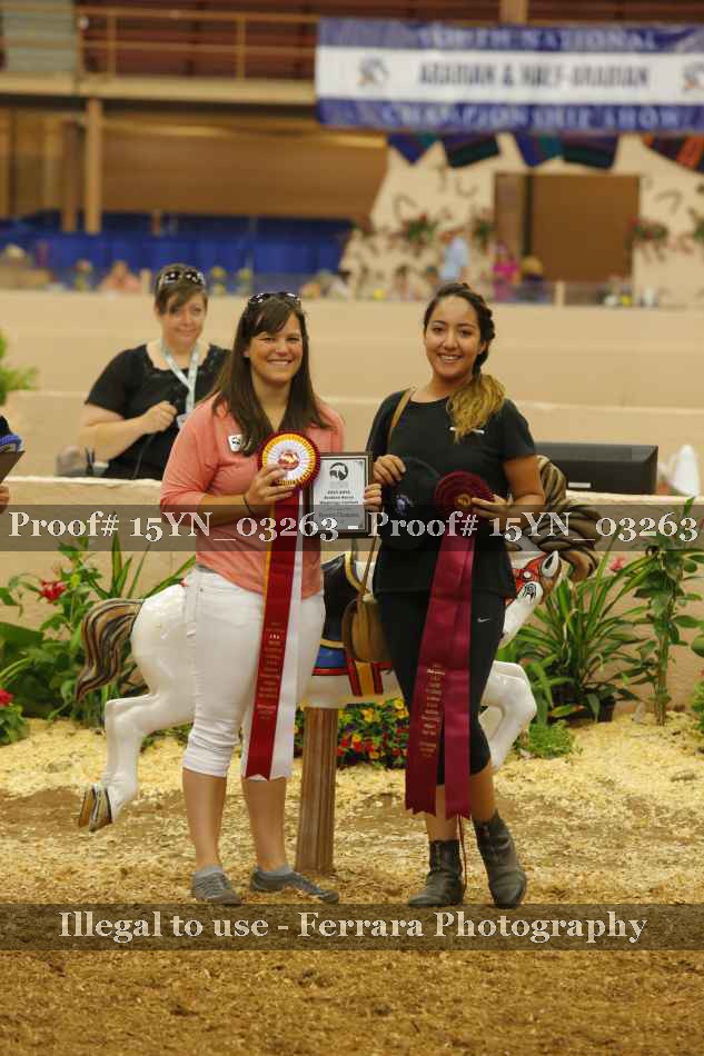 Proof 15YN_03263