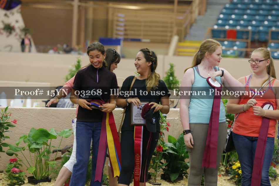Proof 15YN_03268