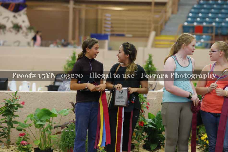 Proof 15YN_03270