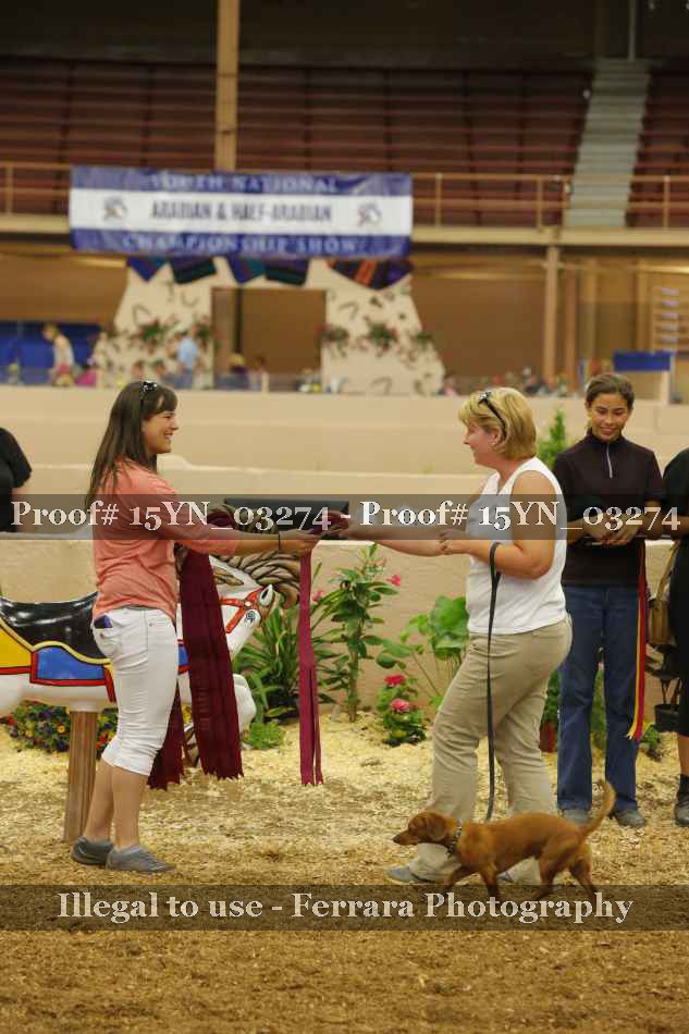 Proof 15YN_03274