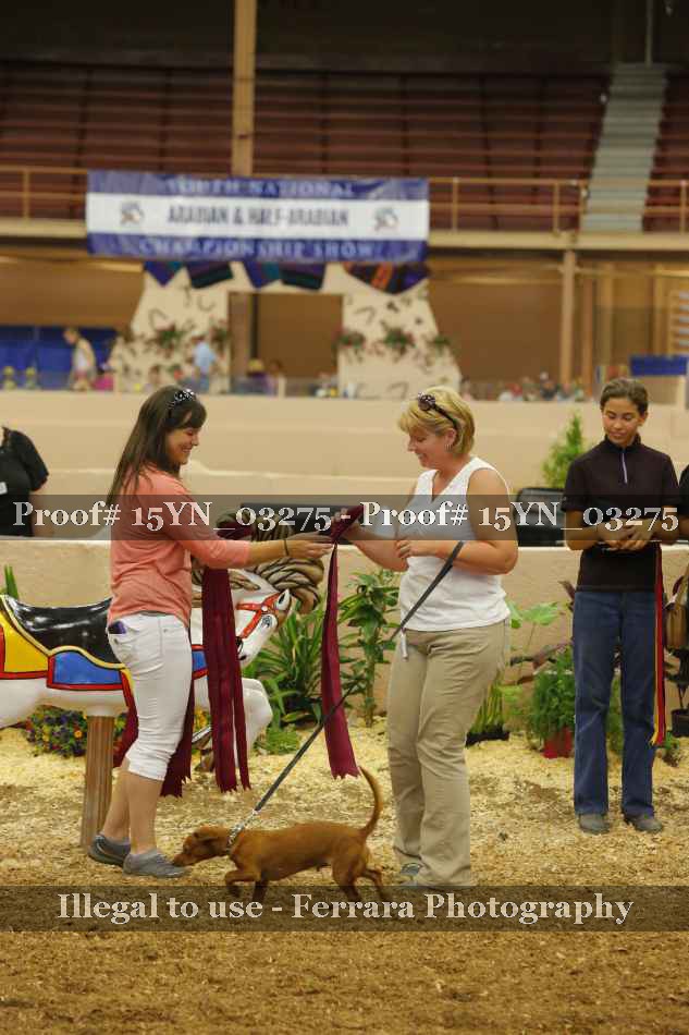 Proof 15YN_03275