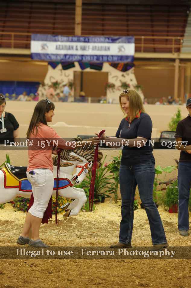 Proof 15YN_03277