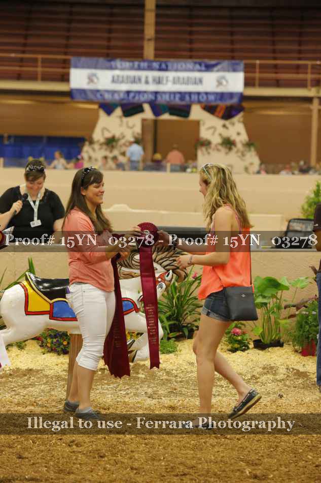 Proof 15YN_03278