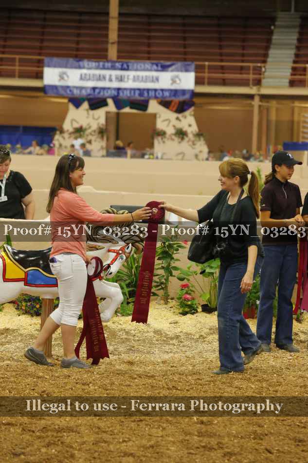 Proof 15YN_03283