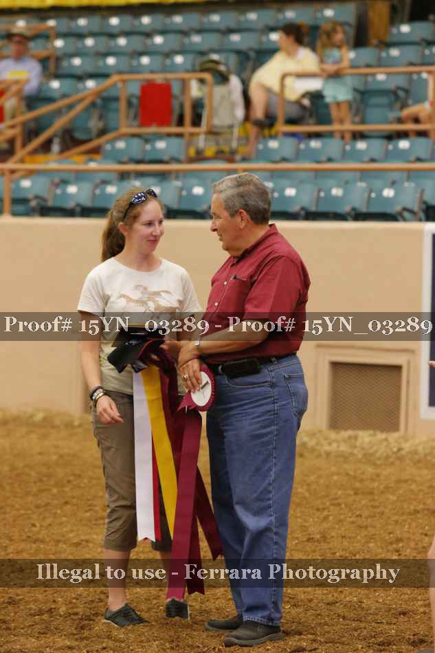 Proof 15YN_03289