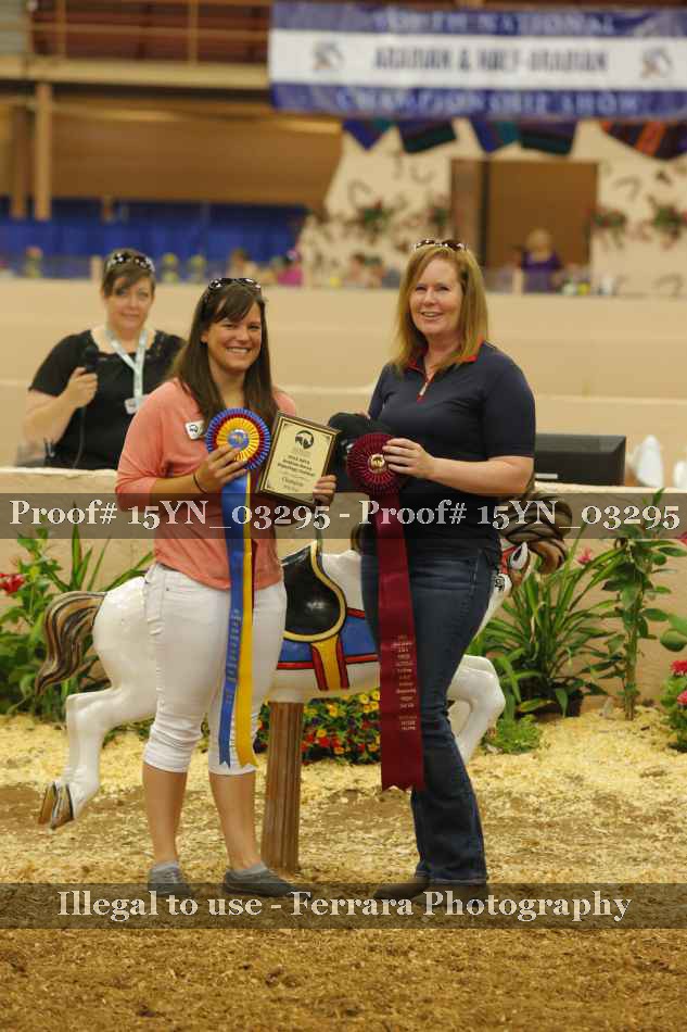 Proof 15YN_03295