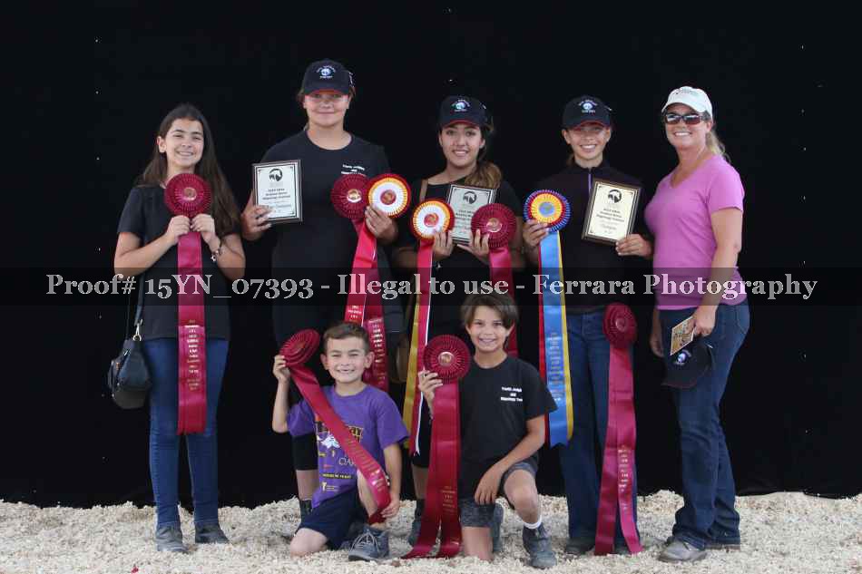 Proof 15YN_07393