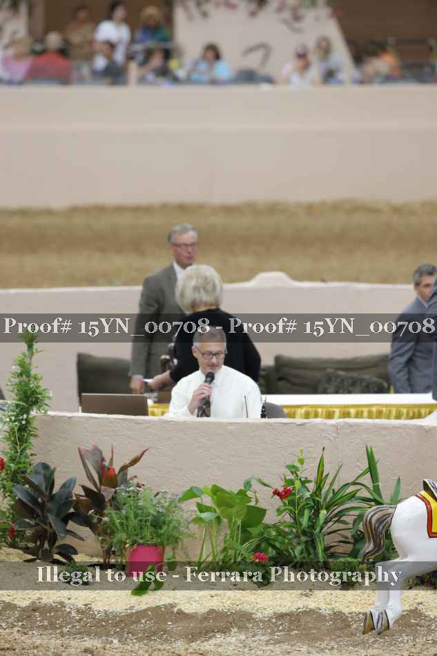 Proof 15YN_00708