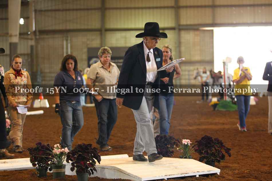 Proof 15YN_00747