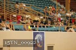 15YN_00922 proof