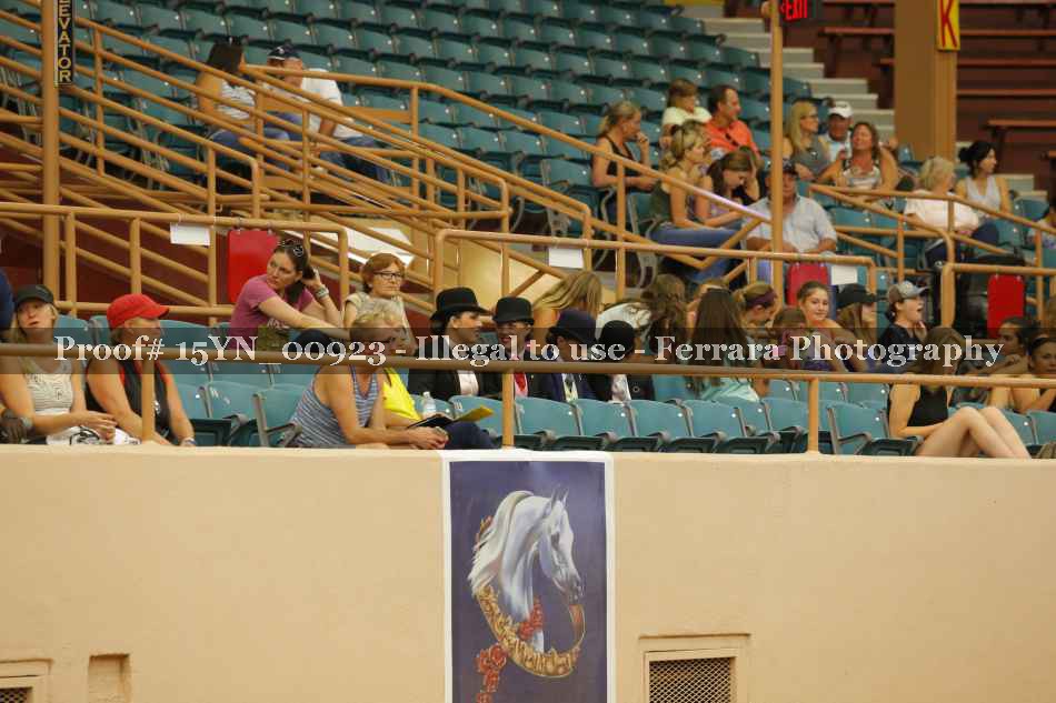 Proof 15YN_00923