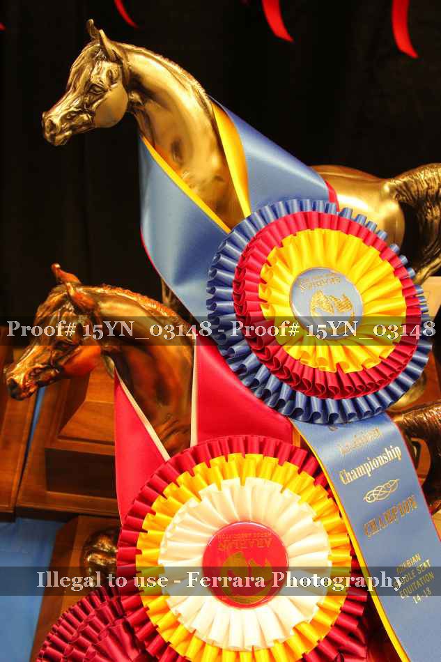 Proof 15YN_03148