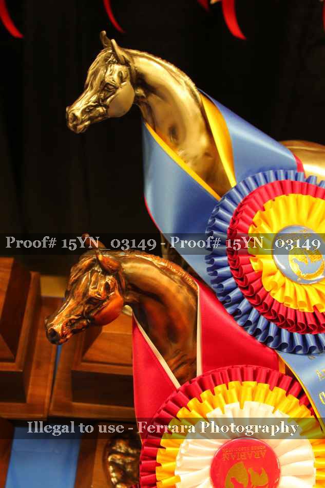 Proof 15YN_03149