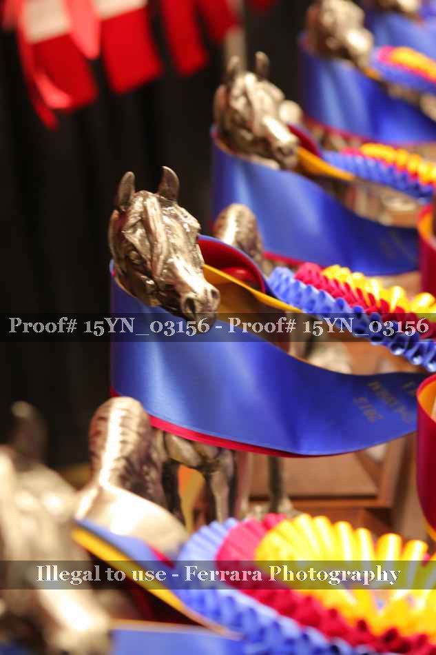 Proof 15YN_03156