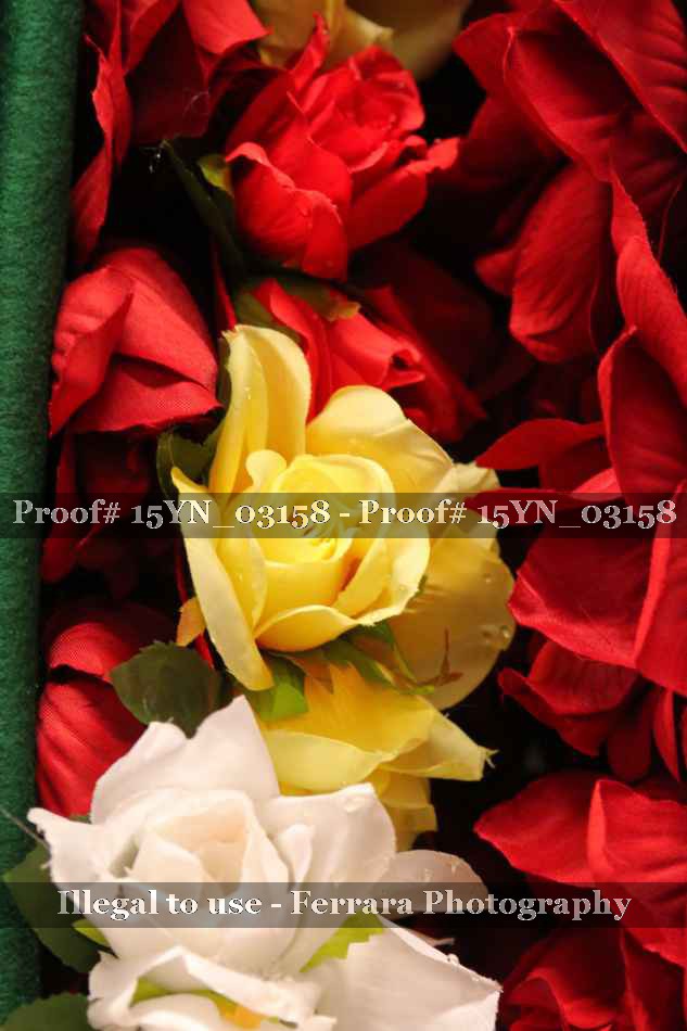Proof 15YN_03158