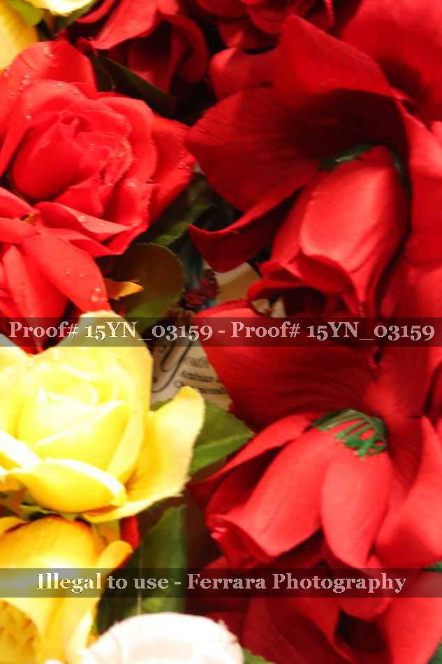 Proof 15YN_03159