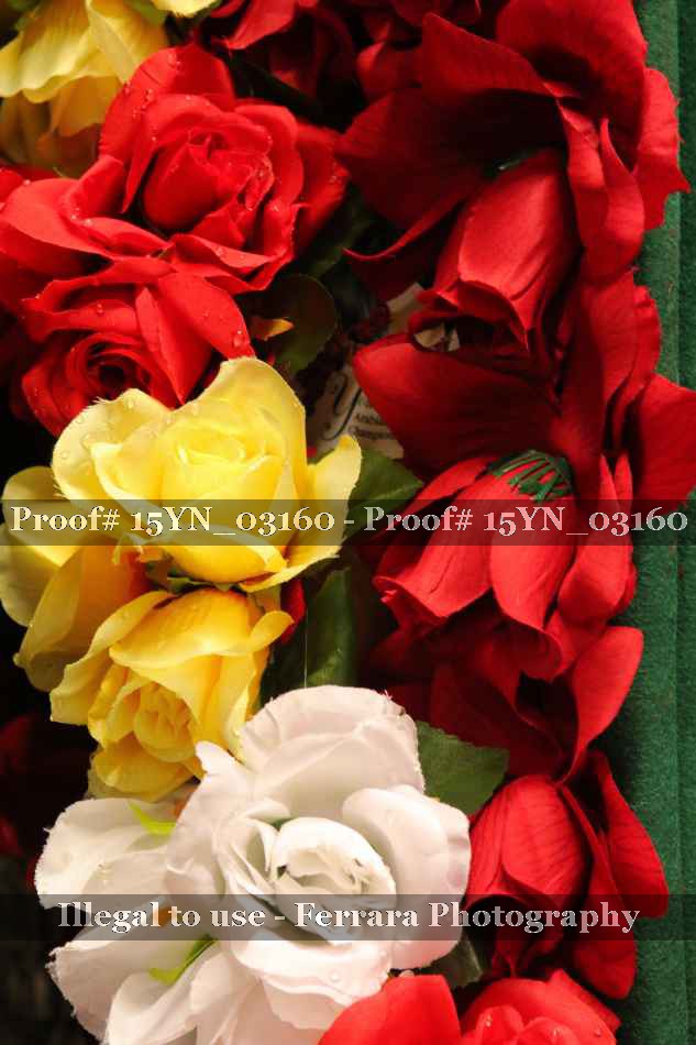 Proof 15YN_03160