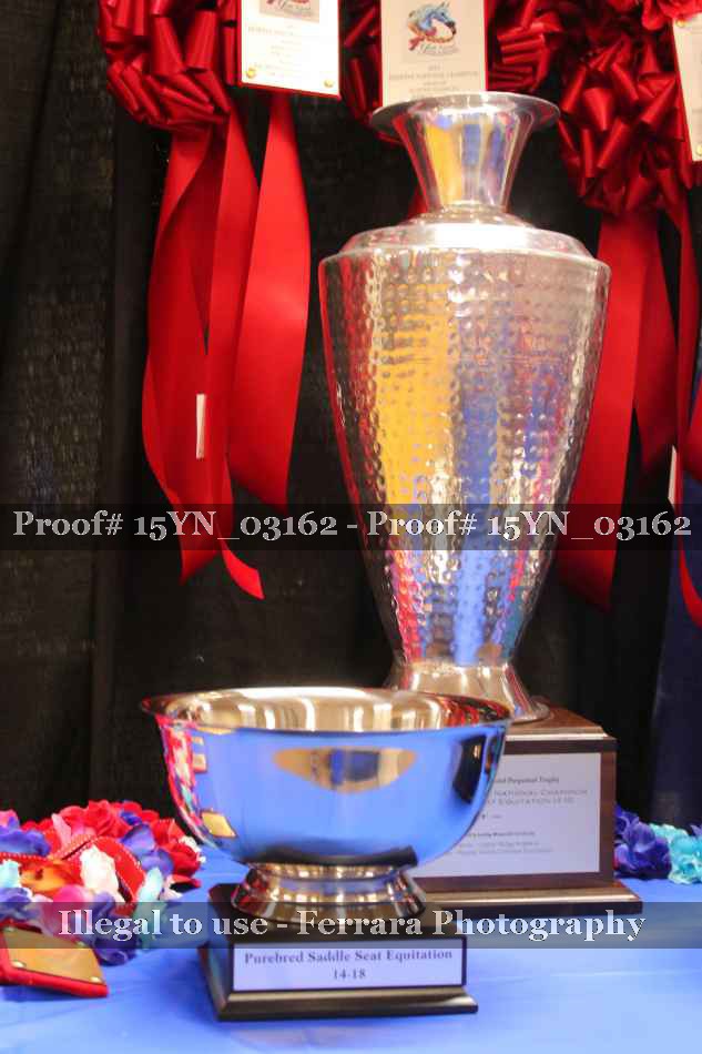 Proof 15YN_03162