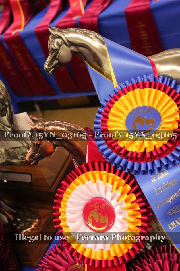 Proof 15YN_03165