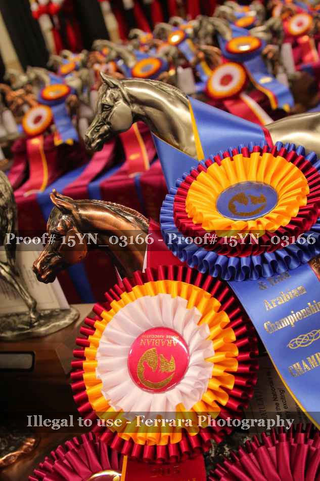 Proof 15YN_03166