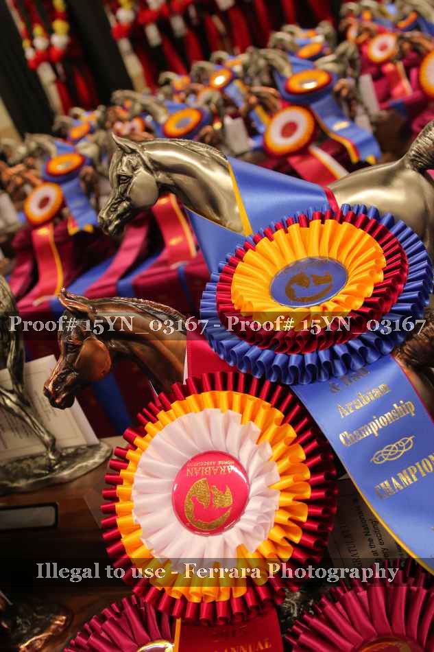 Proof 15YN_03167