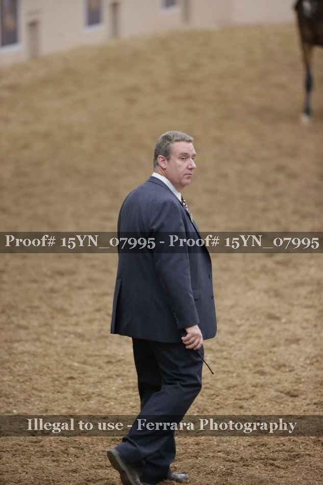 Proof 15YN_07995