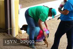15YN_22992 proof