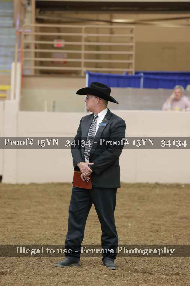 Proof 15YN_34134