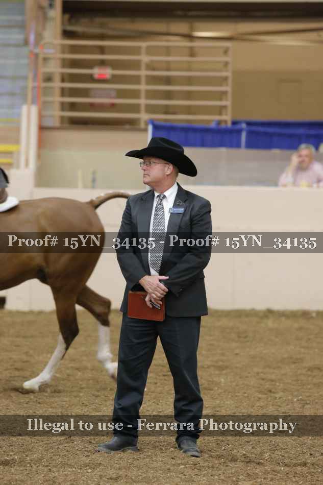 Proof 15YN_34135