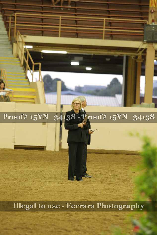 Proof 15YN_34138