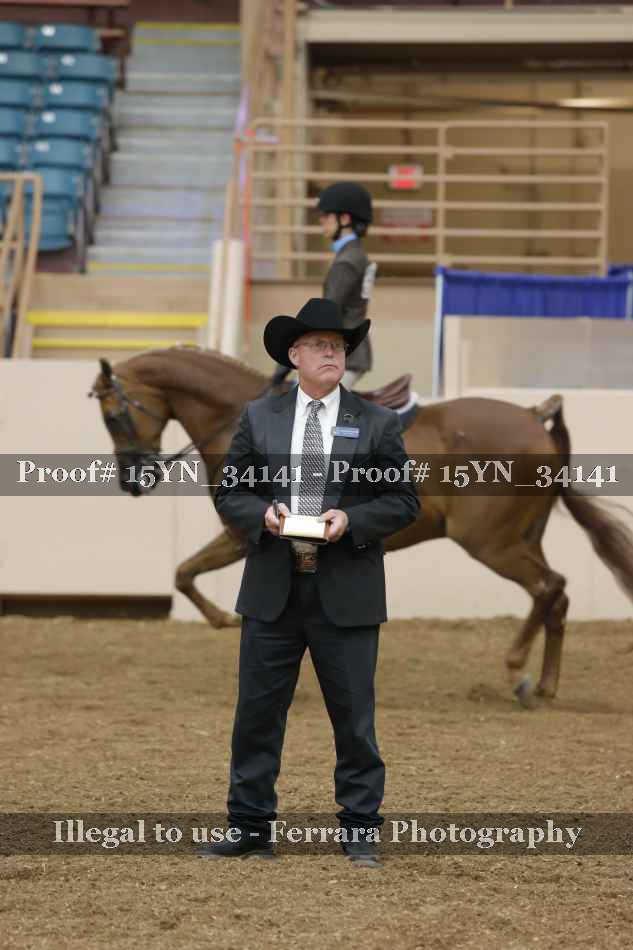 Proof 15YN_34141