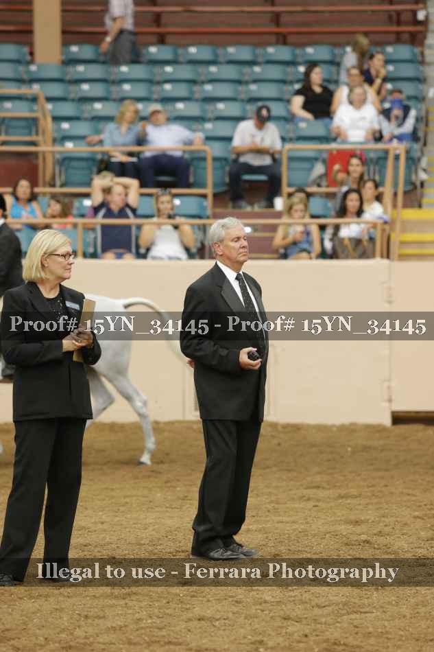 Proof 15YN_34145
