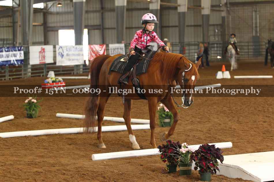 Proof 15YN_00809