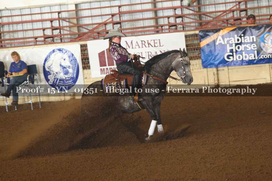 Proof 15YN_01351