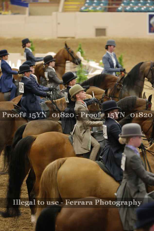 Proof 15YN_01820