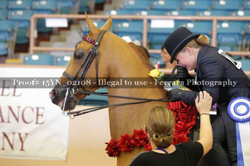 Proof 15YN_02108