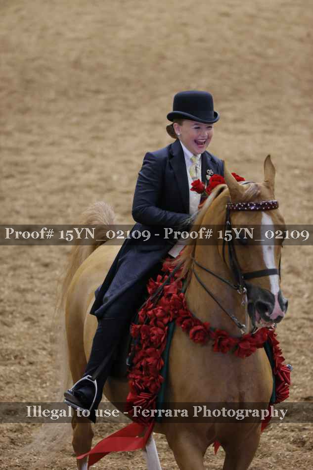 Proof 15YN_02109