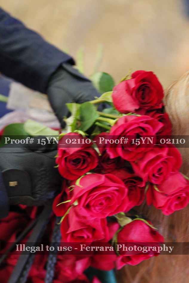 Proof 15YN_02110