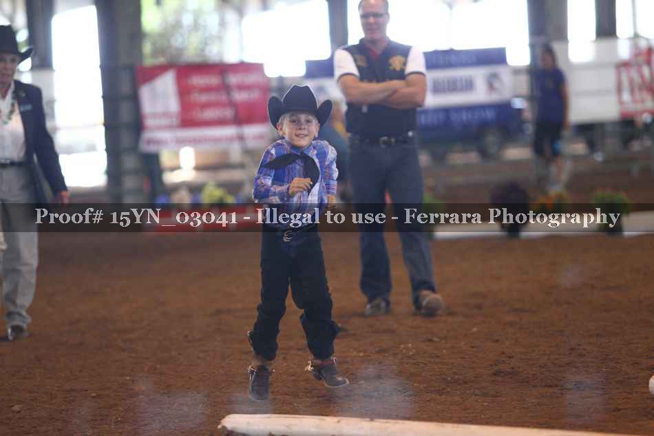 Proof 15YN_03041